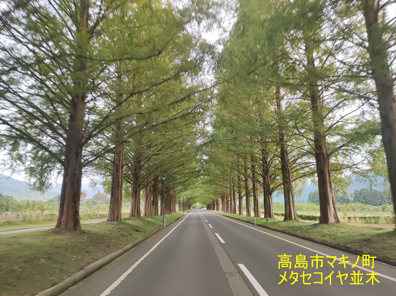 高島市の箱館山からの写真です。公共測量の休憩中での一枚。